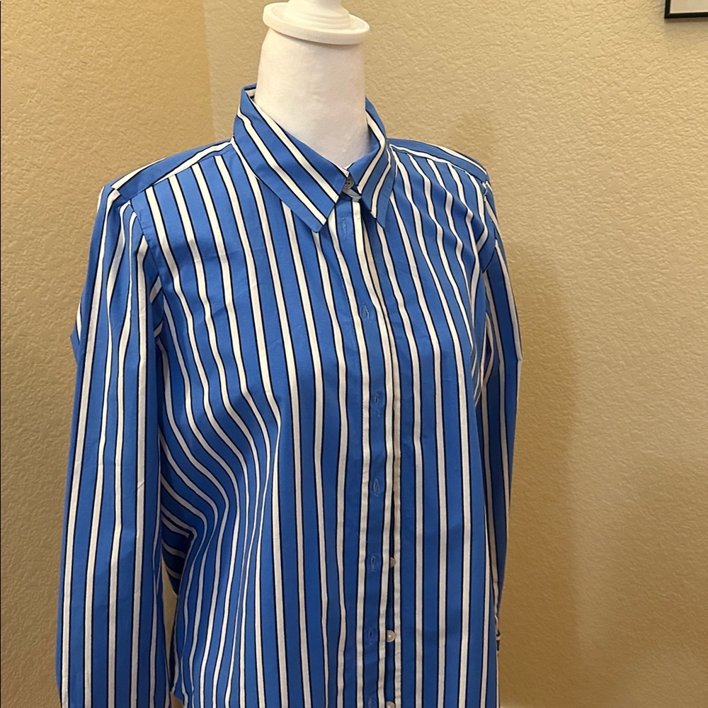 Ann Taylor Blue and White Striped Shirt